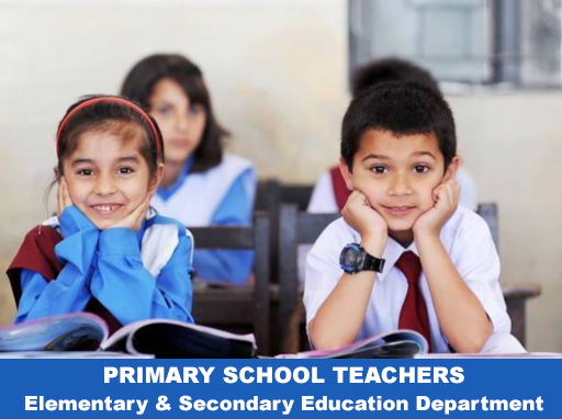 Primary School Teacher (ESED)