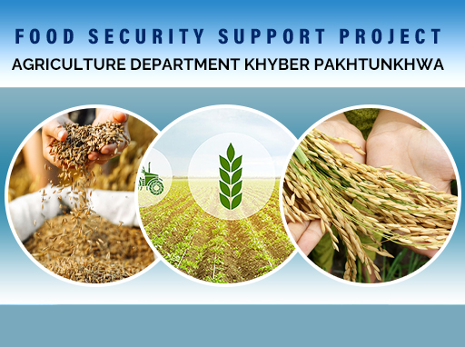 Food Security Support Project